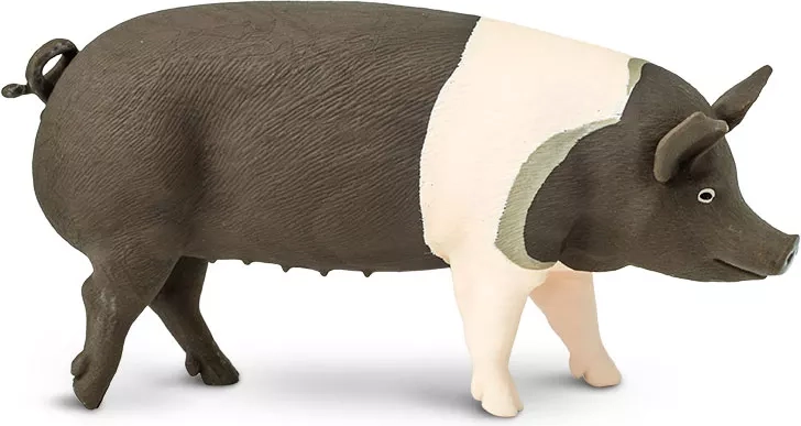 Figuur varken Hampshire Safari Ltd. - 1 stuk