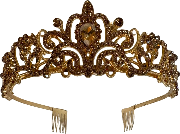 Roze Palace Beauty-haarband van Sparkys