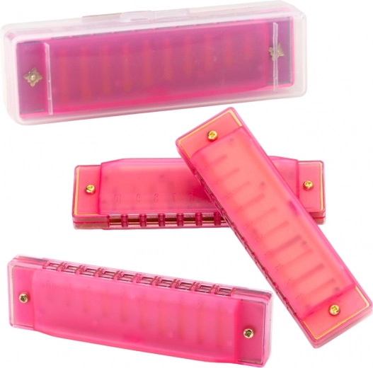 Roze diatonische mondharmonica voor kinderen en beginners met etui