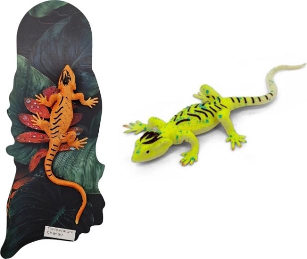 Diertje hagedis met kleurverandering
