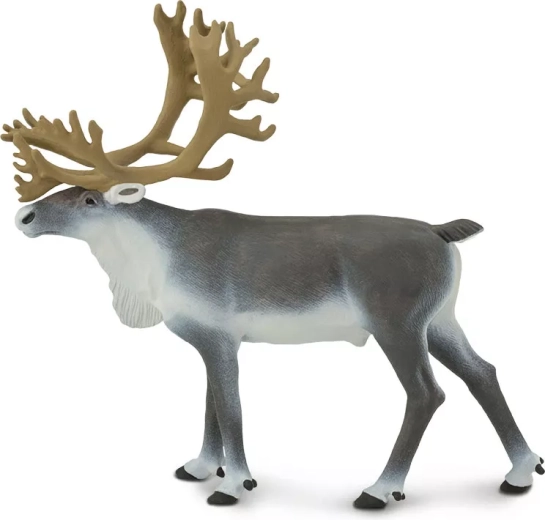 Kariboe Safari Ltd. - 1 stuk
