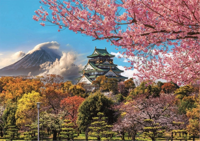 Educa Puzzel Kasteel in Osaka, Japan 2000 stukjes