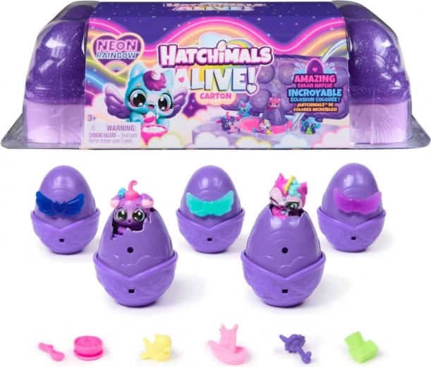 Hatchimals karton Neon Regenboog – neon broedset met 5 eitjes en figuurtjes