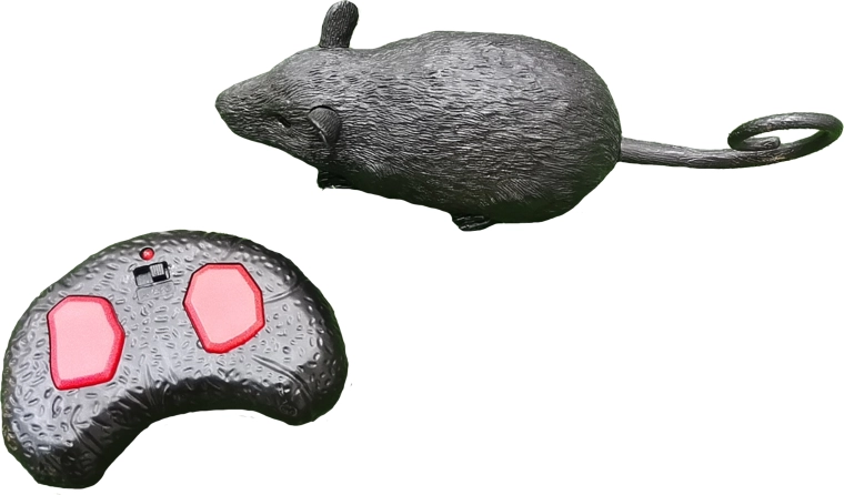 RC-rat met afstandsbediening 22 cm