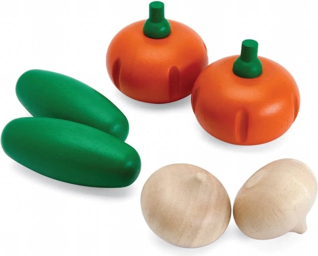 PlanToys houten set verse groenten E