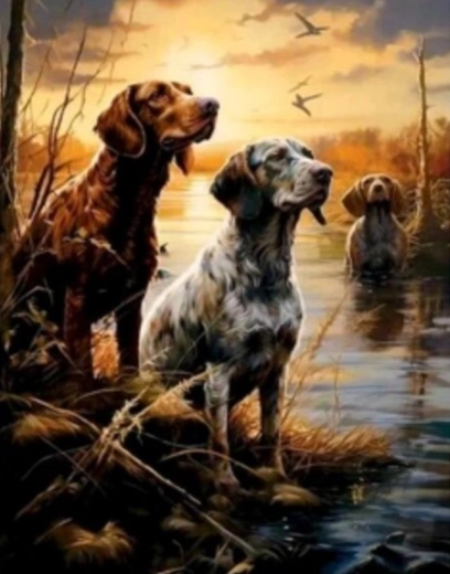 Diamond painting Moerassen 30 × 40 cm