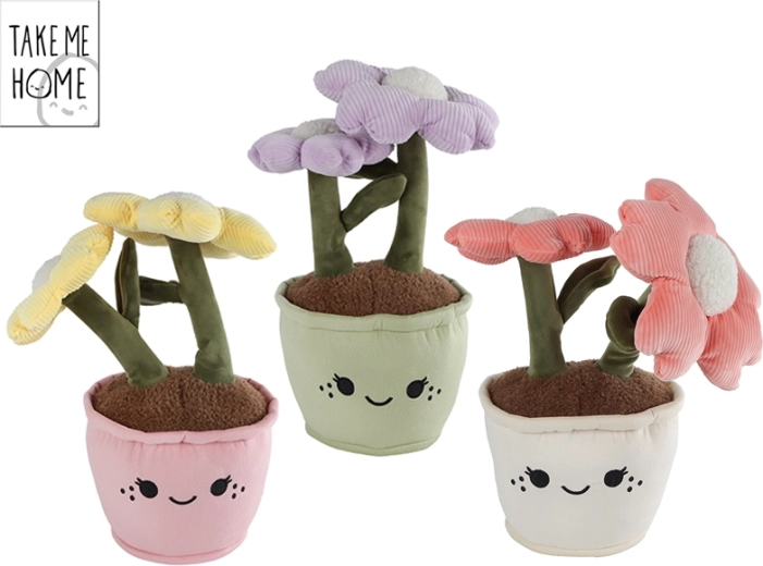 Pluchen kamerplant Take Me Home 43 cm