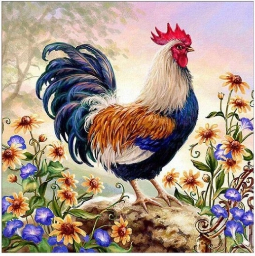 Diamantborduren (diamond painting) kleurrijke haan 30 × 30 cm