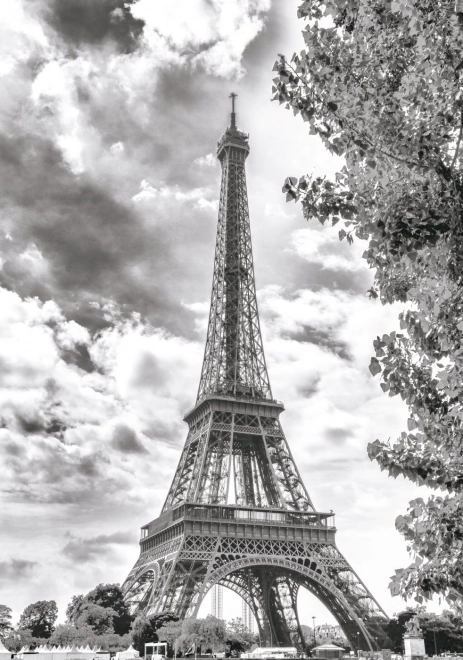 Puzzel Eiffeltoren 500 stukjes