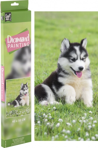 Diamond painting Husky 40 × 50 cm