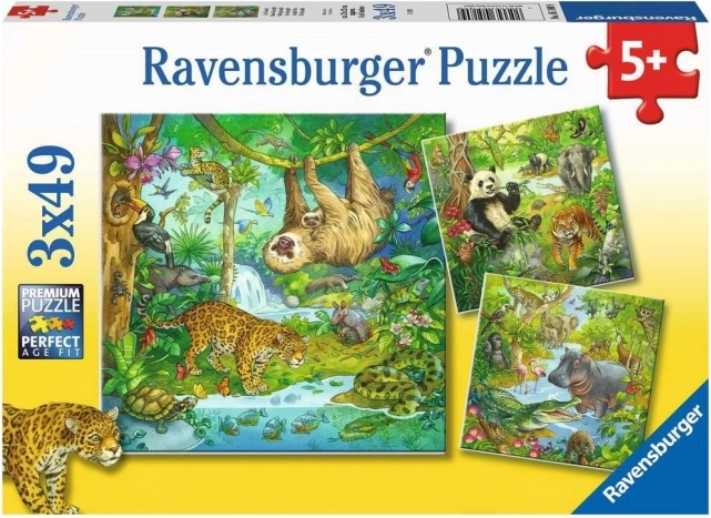 RAVENSBURGER Puzzel Dieren in de jungle 3x49 stukjes