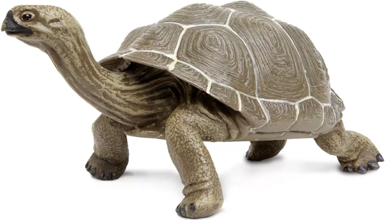 Safari Ltd. Galapagosschildpad figuur