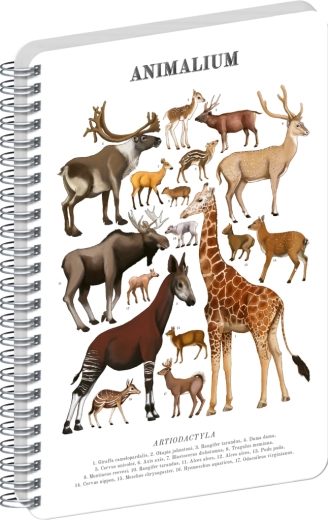Notique spiraalblok Animalium evenhoevigen blanco A5
