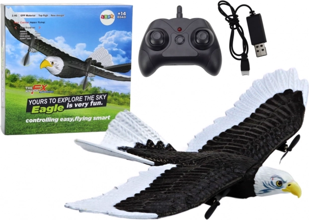 Vliegtuig Eagle Bird afstandsbediening RC 2,4G 41cm x 28cm x 5cm