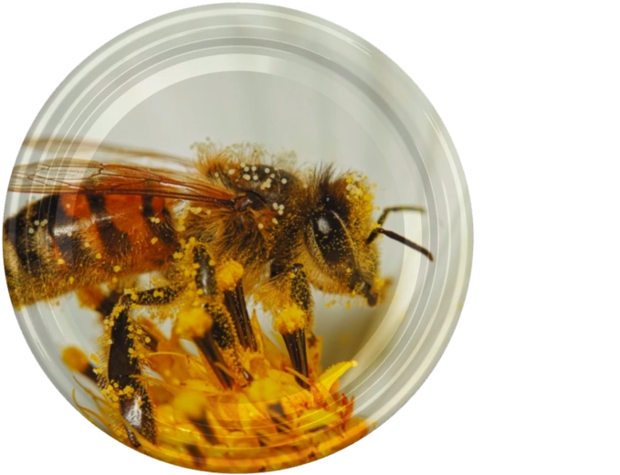 Deksel voor inmaakpotten fi66 met bijenmotief