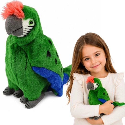 Pluche ara-papegaai – groen 24 cm
