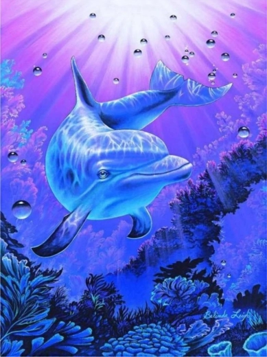 Norimpex schilderen op nummer Dolfijn 40 × 50 cm