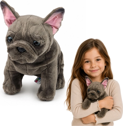 Pluchen Franse buldog 22 cm