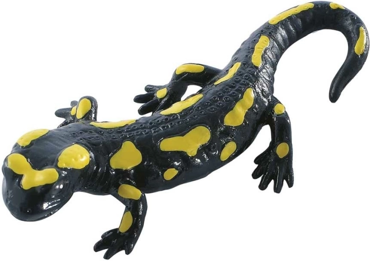 Gevlekte salamander