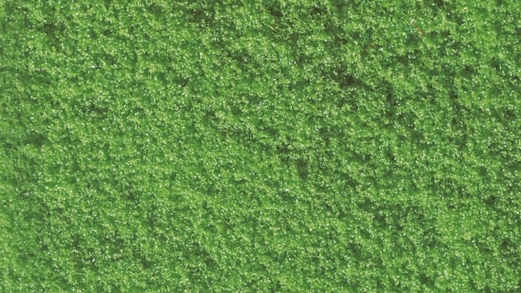Noch strooimateriaal schuimvlokken lichtgroen