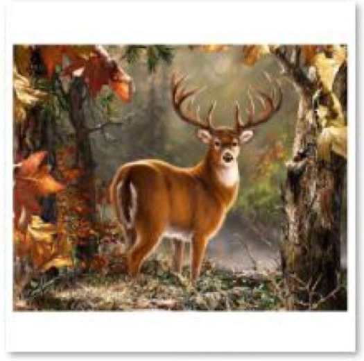 Diamantschilderen (diamond painting) – waardige hert 40 × 30 cm
