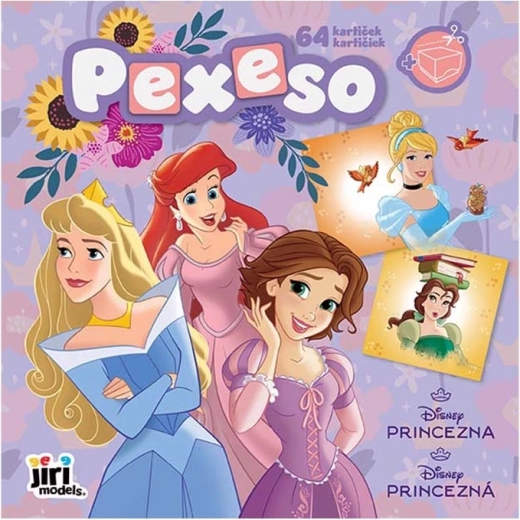 Memory in een schrift Prinsessen