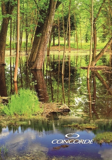 Notitieboek A4 gelinieerd 8 mm, 200 vellen