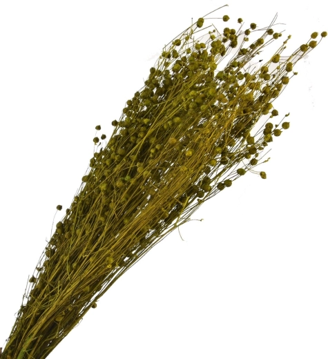 Gedroogd decoratief gras groen 40–70 cm
