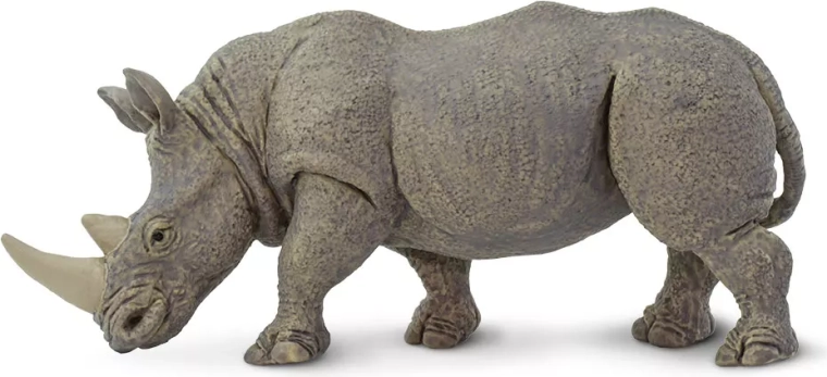 Witte neushoorn Safari Ltd.