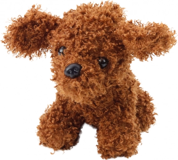 Pluchen vriend poedel 20 cm bruin