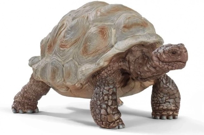 Wild Life figuur van een reuzenschildpad