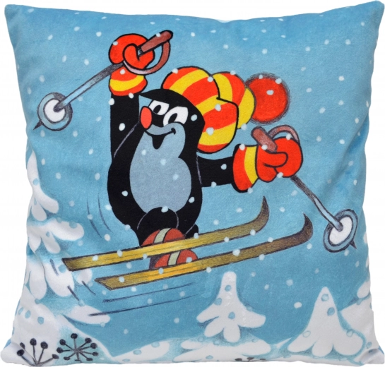 Kussen Mol met skithema 30x30 cm
