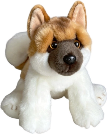Pluchen Akita-hond zittend 28 cm