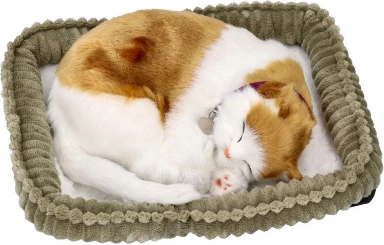 Perfect Petzzz ademend katje Soriano 3+