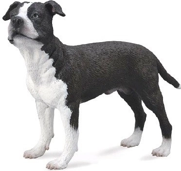 Amerikaanse Staffordshire Terrier figuur Collecta