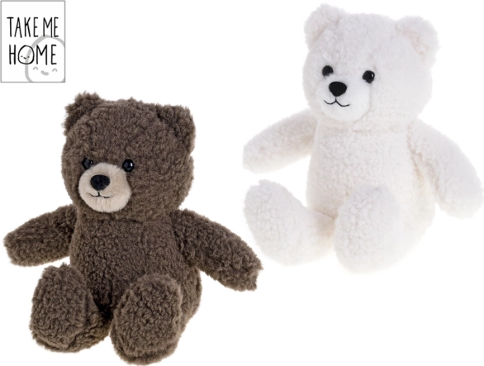 Pluchen teddybeer Take Me Home 24 cm