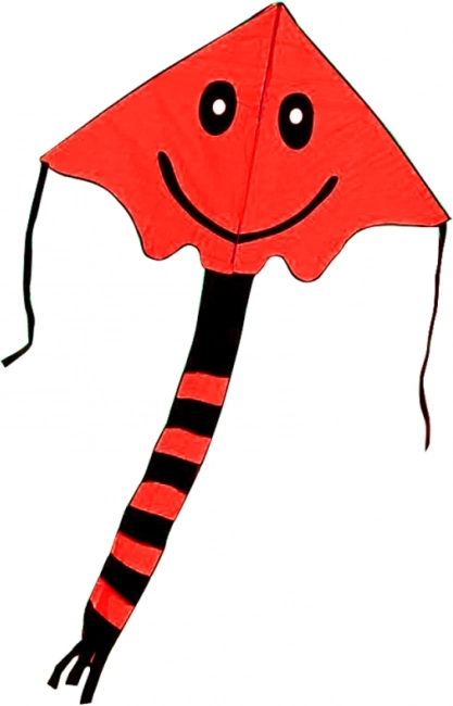 Vlieger met glimlach 80 × 60 cm