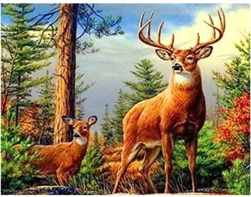 Norimpex diamant painting hert in de bergen 30 × 40 cm