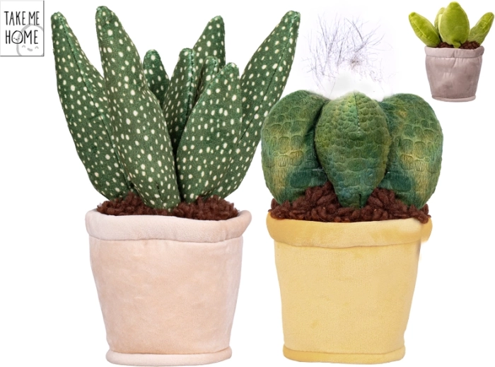 Pluchen kamerplant TAKE ME HOME 13,5 cm