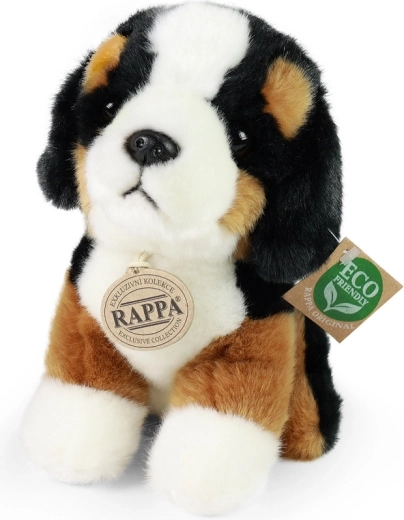 Pluchen Berner Sennenhond