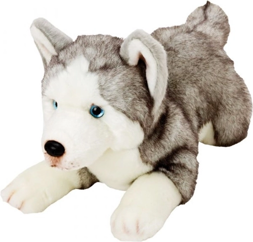 Pluchen Husky-hond