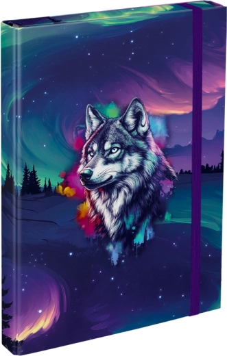 Mappen voor schoolschriften A4 Baagl Aurora