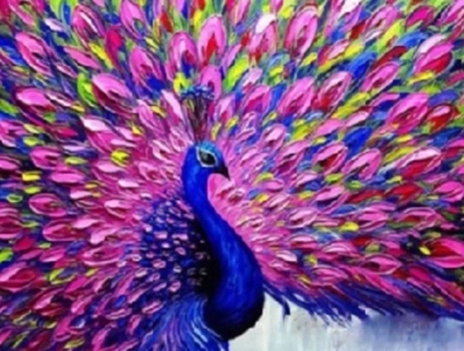 Norimpex Schilderen op nummer pauw met roze staart 40 × 50 cm