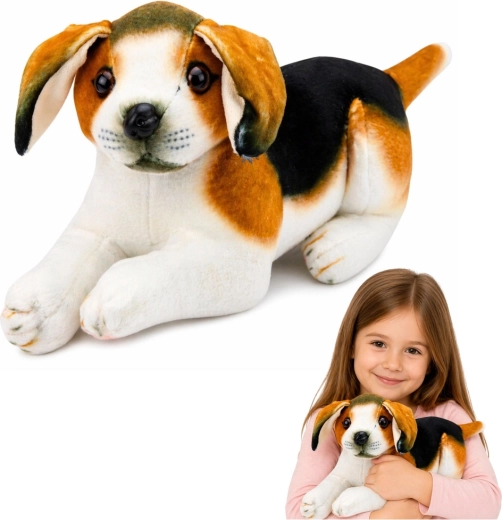 Pluchen beagle hondje 25 cm