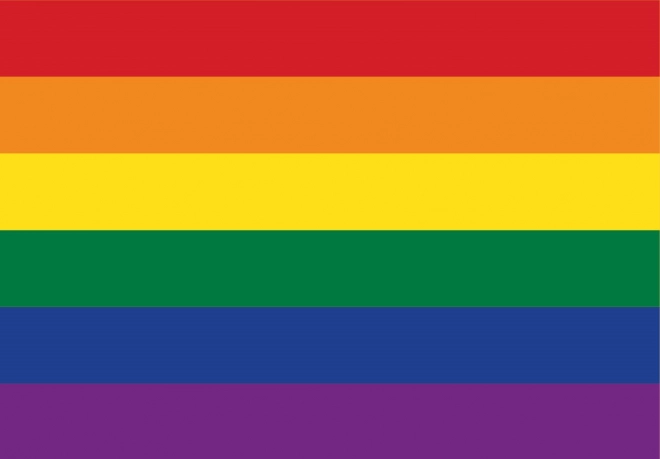 Grafika puzzel Pride Edition 1000 stukjes