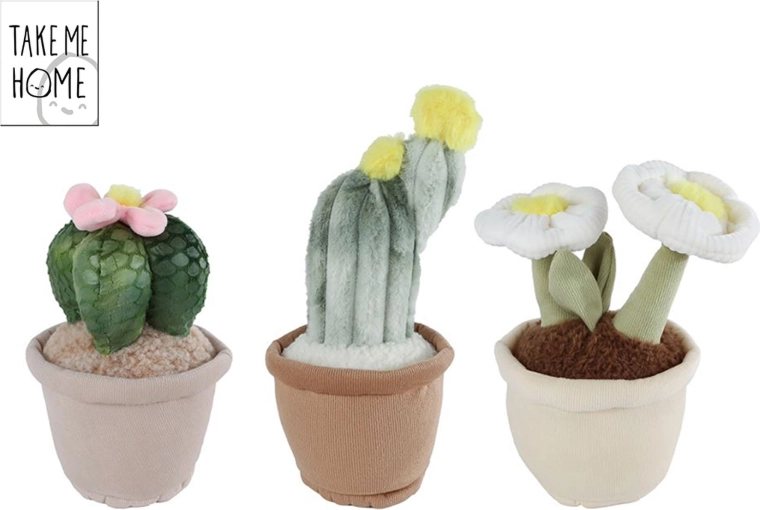 Pluchen kamerplant Take Me Home