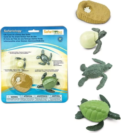 Safari Ltd. levenscyclus van een zeeschildpad