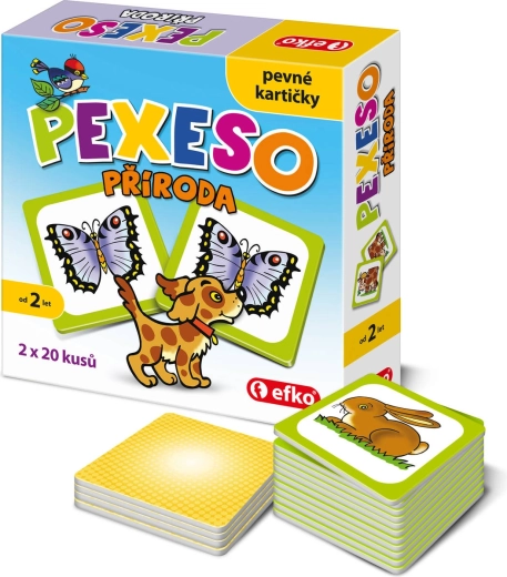 Efko baby memoryspel vervoermiddelen