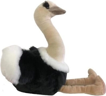 Pluchen struisvogel 36 cm met hanger
