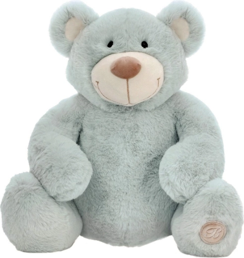Pluchen teddybeer Jacobe 25 cm mint